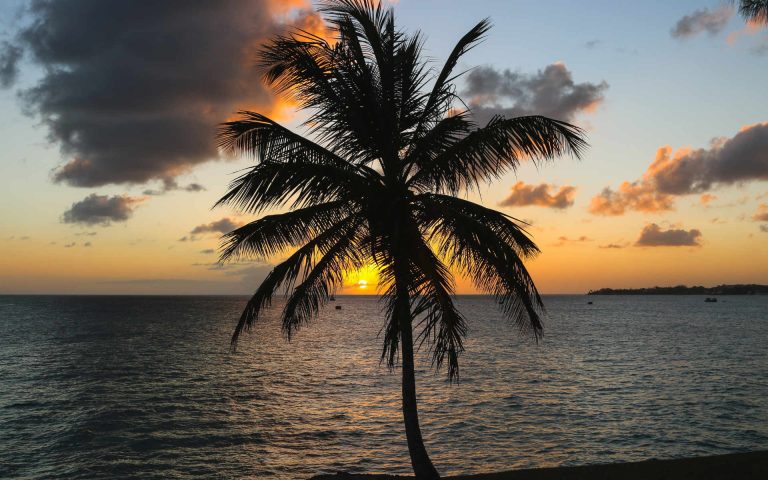 Caribbean-Barbados-Freights-Bay-9pg_HAxUNcI-Photo by Brian Yurasits on Unsplash