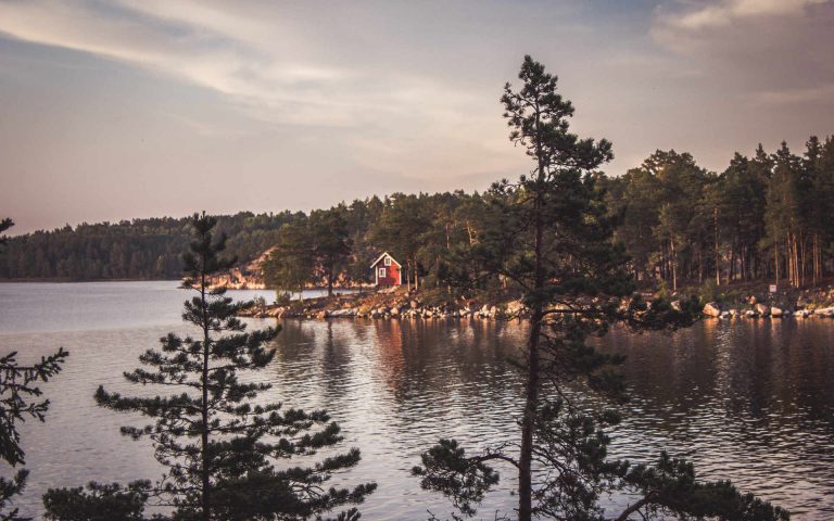 Sweden-Grinds-IAe4R_RiB08-Photo by Inès d'Anselme on Unsplash